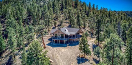 1001A County Road 917, Pagosa Springs