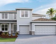 32254 Conchshell Sail Street, Wesley Chapel image