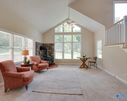 123 Woodrow Balch Drive, Huntsville