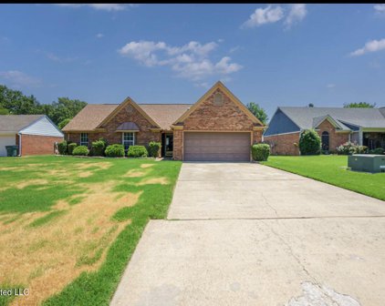 5412 Woodchase Drive, Southaven
