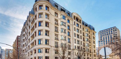 65 E Goethe Street Unit #8N, Chicago