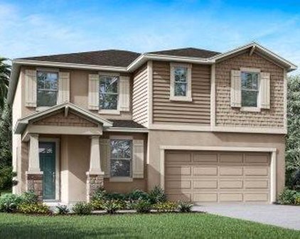 1956 Valencia Blossom Street, Clermont