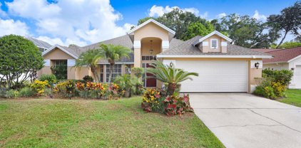 1003 Clearcreek Drive, Tampa