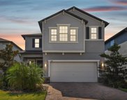 9749 Little Bluestem Drive, Land O' Lakes image