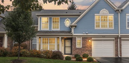 4059 N Newport Lane Unit #4059, Arlington Heights