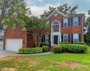 12017 Stone Forest  Drive, Pineville image