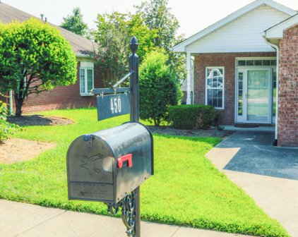 450 Brady Ln, Gallatin