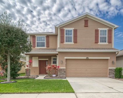 11613 Storywood Drive, Riverview