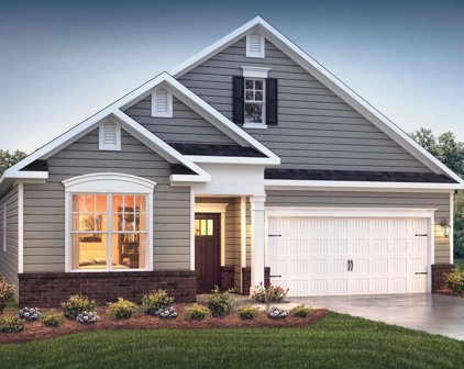 308 Pickford Way, Greenville