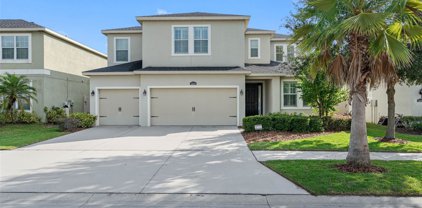 12210 Morgans Bluff Place, Riverview