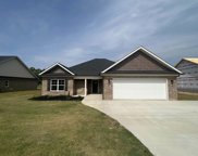 311 Cherokee Creek, Gaffney image
