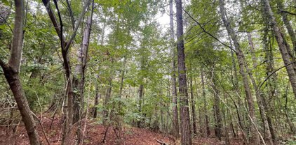 County Road 15 Unit 80 Ac, Wadley