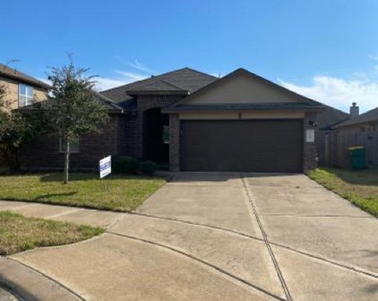 9907 Channel Set Way, Rosharon