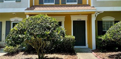 29928 Alta Vita Lane, Wesley Chapel