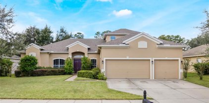 3364 Tumbling River Drive, Clermont