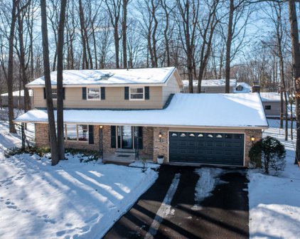 7106 SYLVAN STREET, Schofield