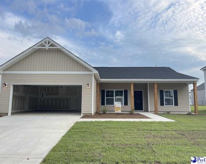 3816 Panther Path, Timmonsville
