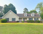 225 Amber Lane, Harvest image
