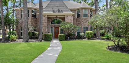 17503 Shelburne Lane, Spring
