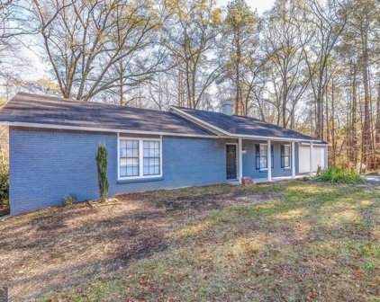 3423 Bramblevine Circle, Lithonia