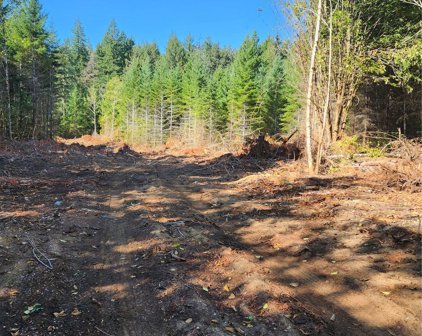 E Homestead Dr, Lot 2, Allyn