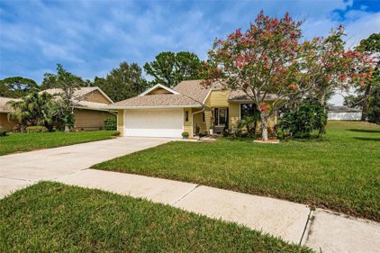1005 Lake Avoca Place, Tarpon Springs
