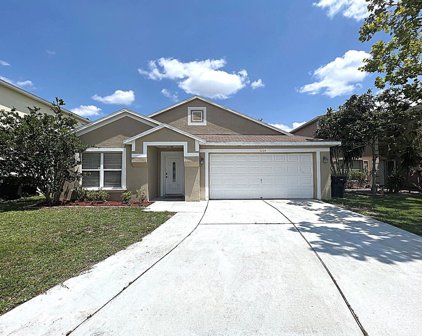 3264 Natoma Way, Orlando