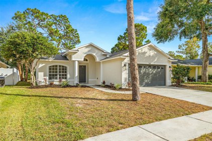 1465 Watermill Circle, Tarpon Springs