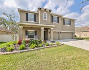 11323 Coventry Grove Circle, Lithia image