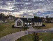 6 acres Copper Leaf Walk, Gadsden image