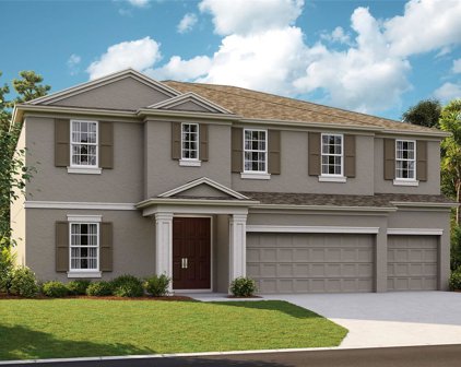 6136 Hidden Branch Drive, Apollo Beach