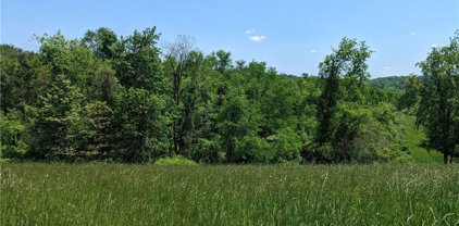 - Ross Hollow Road, Plum Boro