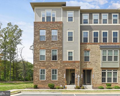 41445 Black Cherry Ter, Aldie