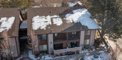 1465 E Peckham Unit 3, Reno