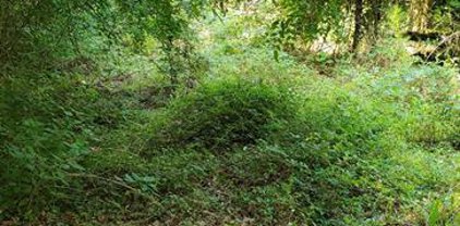 2346 Hickory Hollow Lane, Spring