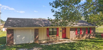 60 Mcdonald Lane, Guntersville