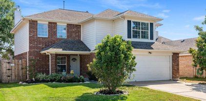 11943 Lucky Meadow Drive, Tomball
