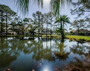 1202 Hounds Run, Safety Harbor image