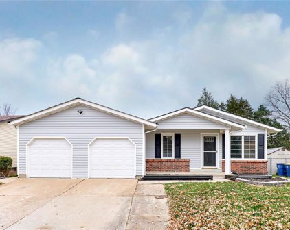 753 Mediterranean  Drive, Florissant
