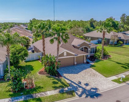 2504 Bay Field Court, Holiday