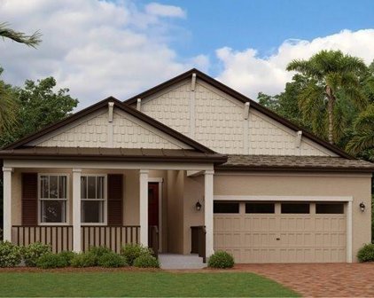 10692 Banyan Breeze Boulevard, Land O' Lakes