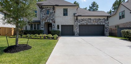 323 Calmato Woods Way, Conroe