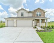 1815 Tioga View Drive, Rosharon image
