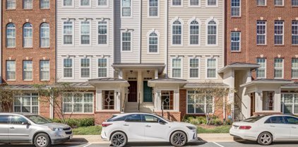 14264 Woven Willow Ln Unit #56, Centreville