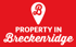 Property in Breckenridge, James Shingles Real Estate