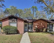 5102 Gainsville Drive, Tampa image