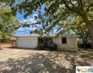 1300 Pine Drive, Killeen image
