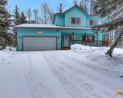 5251 S Tennyson Court, Wasilla
