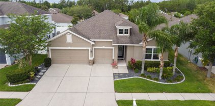 2650 Kenchester Loop, Wesley Chapel