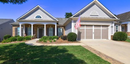 1119 Satilla, Griffin
